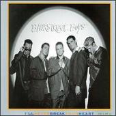 Disco de Backstreet Boys: “I'll Never Break Your Heart [Holland CD Single & Interview]”